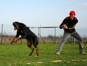 Cliquez pour agrandir l'image